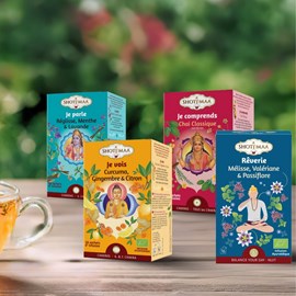 4 tisanes bio à infuser du matin au soir