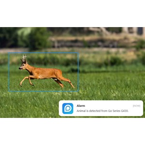 Reolink Go G450 – Caméra 4G 4K 360° autonome avec panneau solaire