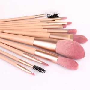 Set de 12 pinceaux a maquillage