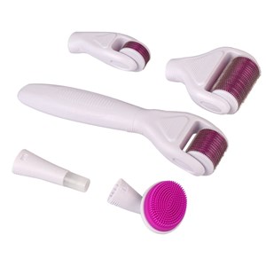 Dermaroller micro aiguilles 6en1