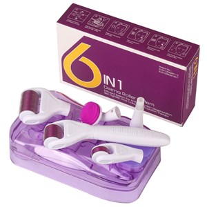 Dermaroller micro aiguilles 6en1