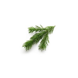 Sapin baumier (abies balsamea) - huile essentielle bio - 5ml garantie chromacert