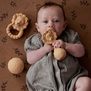 Anneau de dentition lion