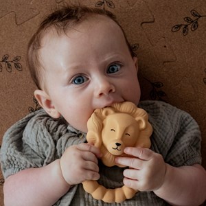 Anneau de dentition lion