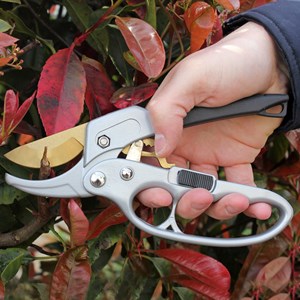 Secateur fishtec à crémaillière