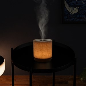 Diffuseur alesia + 3 huiles hivernales