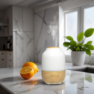 Diffuseur purisia + 3 huiles noël