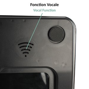 Pèse-personne vocal design - verre trempé et fonction parlante française