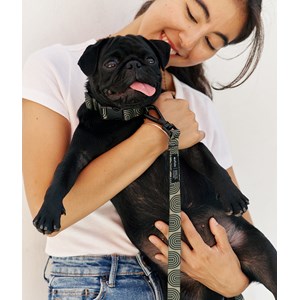 Collier pet recyclé l - vert