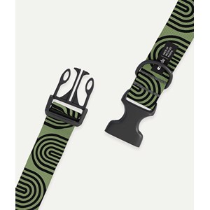 Collier pet recyclé l - vert