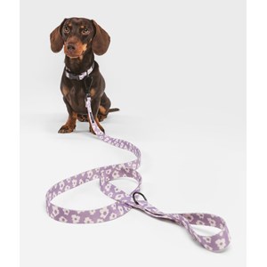 Collier pet recyclé xs - violet
