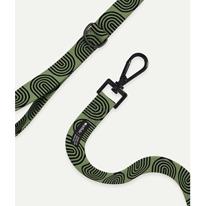 Laisse pet recyclé - vert
