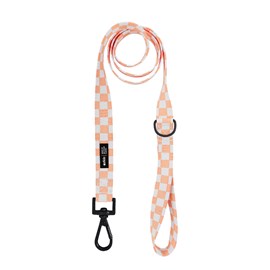 Laisse pet recyclé - orange