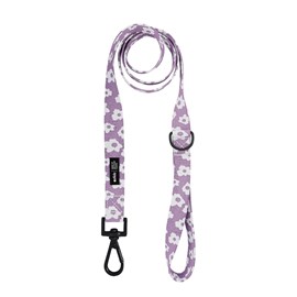 Laisse pet recyclé - violet