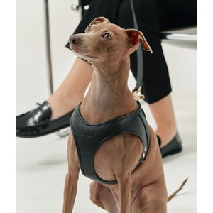 Harnais en matière vegan xs - noir