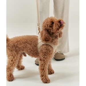 Harnais en matière vegan xs - beige