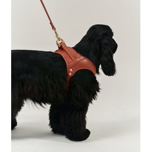 Harnais en matière vegan s - marron