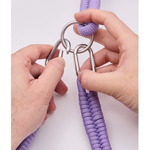 Laisse asa s - violet