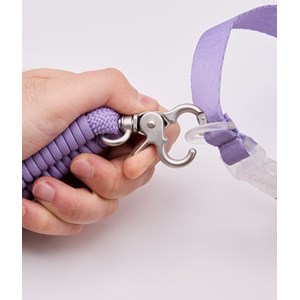 Laisse asa s - violet