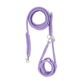 Laisse asa m - violet