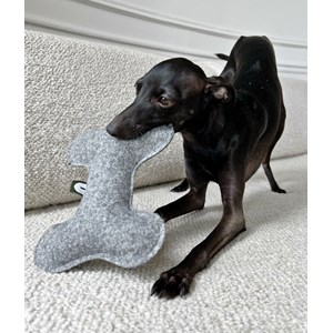 Jouet pour chien - gris