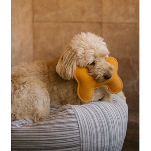 Jouet pour chien - moutarde