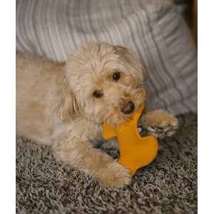 Jouet pour chien - moutarde