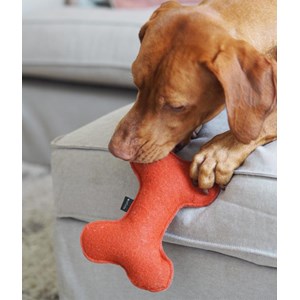 Jouet pour chien - rouge