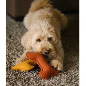 Jouet pour chien - rouge