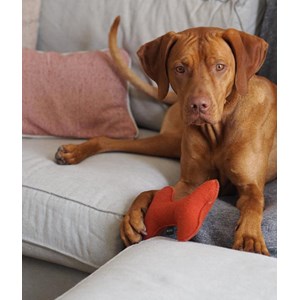 Jouet pour chien - rouge