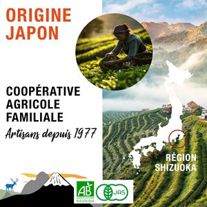 Matcha cérémonie bio - shika - 30g