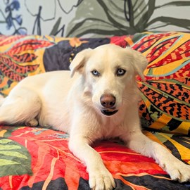 Plaid polaire tropical  150cm x 200cm