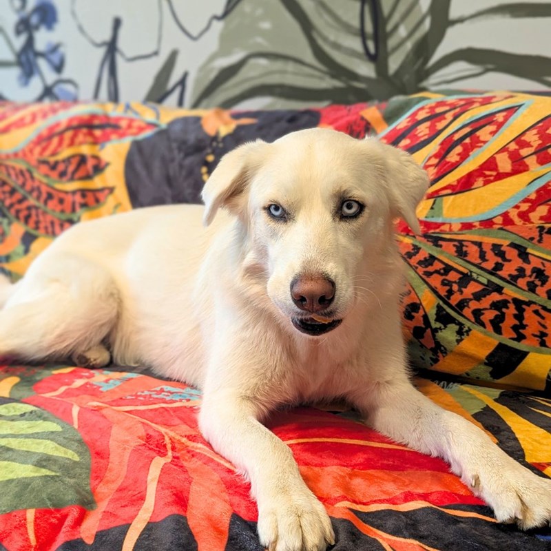 Plaid polaire tropical 150cm x 200cm