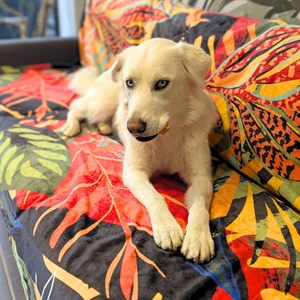 Plaid polaire tropical  150cm x 200cm