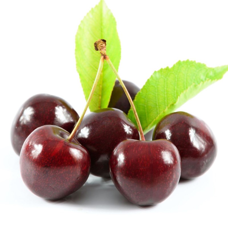 Cerisier bigarreau moreau - pot de 10l