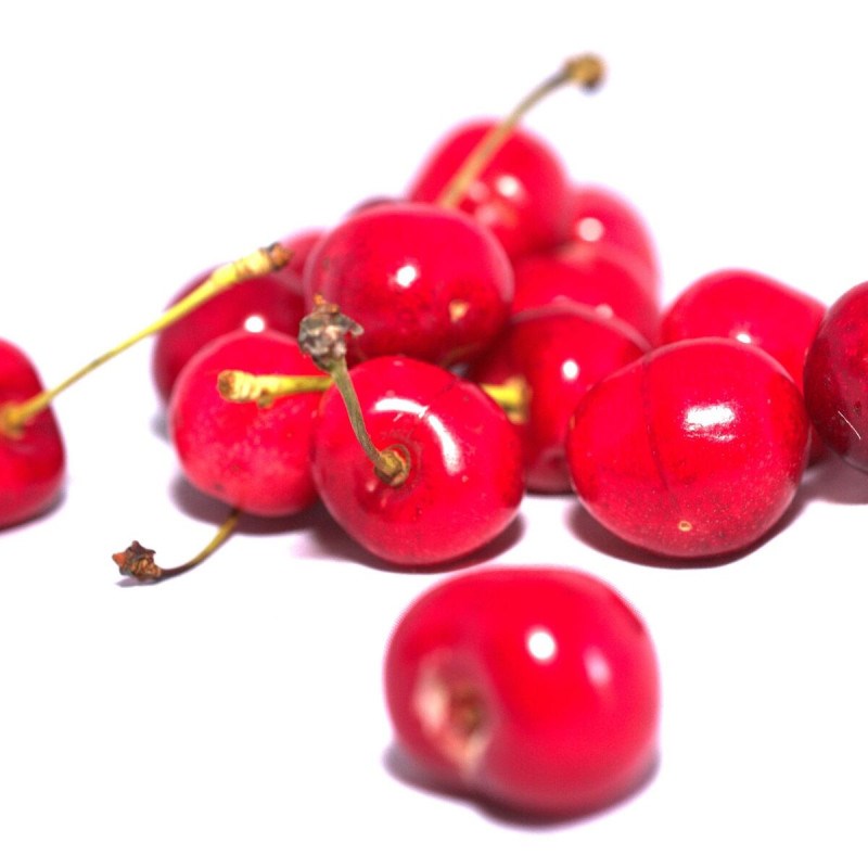 Cerisier belle magnifique - pot de 10l