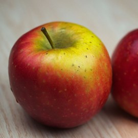 Pommier ariane® - pot de 10l