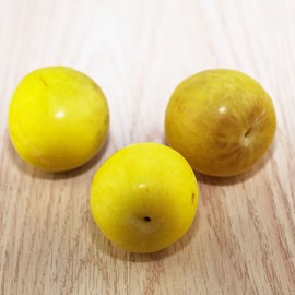 Prunier mirabelle de metz - pot de 10l