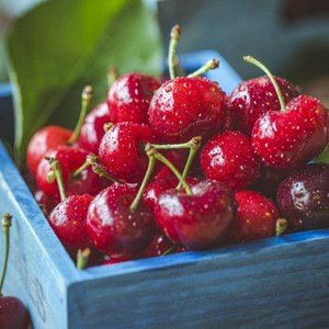 Cerisier bigarreau geant d'hedelfingen - pot de 10l
