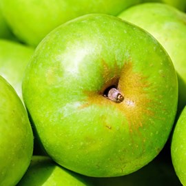 Pommier granny smith - pot de 10l