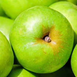 Pommier granny smith - pot de 10l