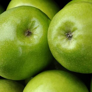 Pommier granny smith - pot de 10l