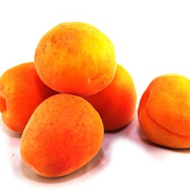 Abricotier précoce de saumur - pot de 10l