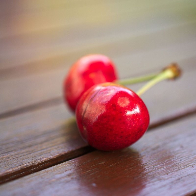 Cerisier bigarreau coeur de marmotte - pot de 10l