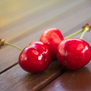 Cerisier bigarreau coeur de pigeon - pot de 10l