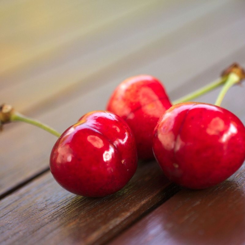 Cerisier bigarreau coeur de pigeon - pot de 10l