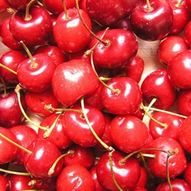 Cerisier bigarreau reverchon - pot de 10l