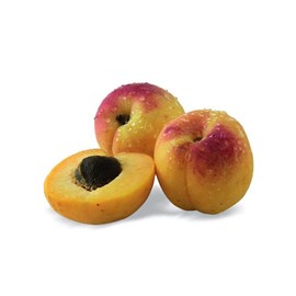 Abricotier nain petit' abri® - nains de jardin® - pot de l