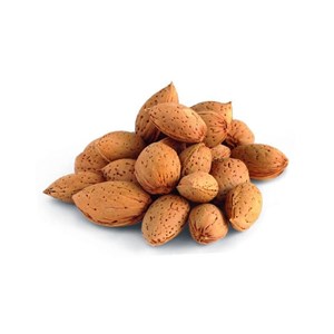 Amandier nain mini mandier - nains de jardins® - pot de l