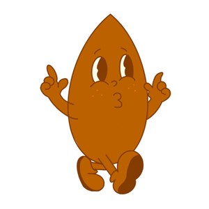 Amandier nain mini mandier - nains de jardins® - pot de l